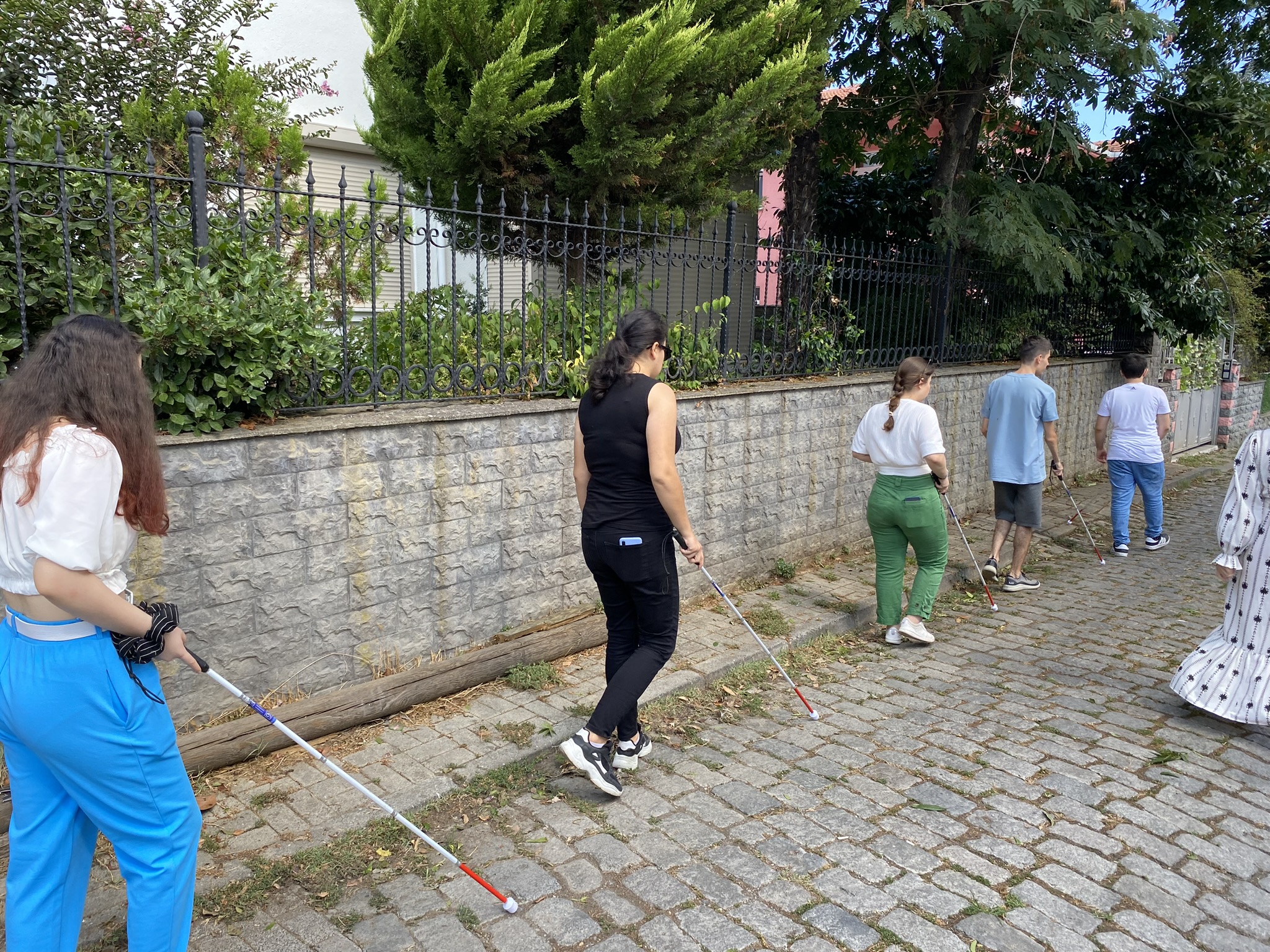 Fotoğrafta, Arnavut taş kaplı bir yolda, arka arkaya sıralı beş görme engelli insan ellerinde beyaz bastonları ile kaldırımı takip ederek yürüyor.